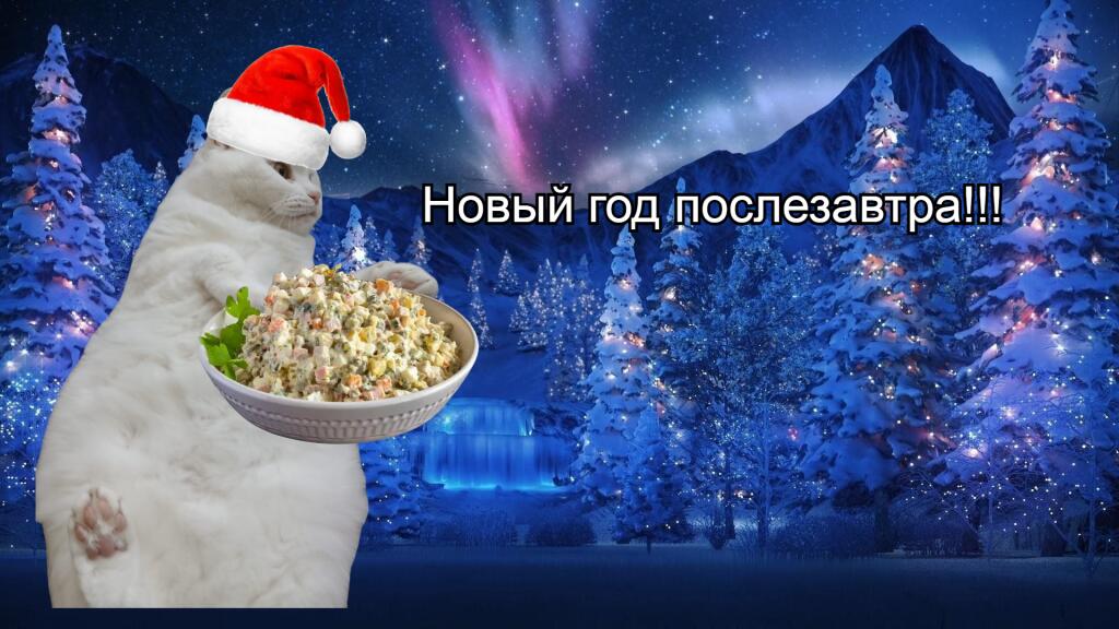Новый год послезавтра!!!