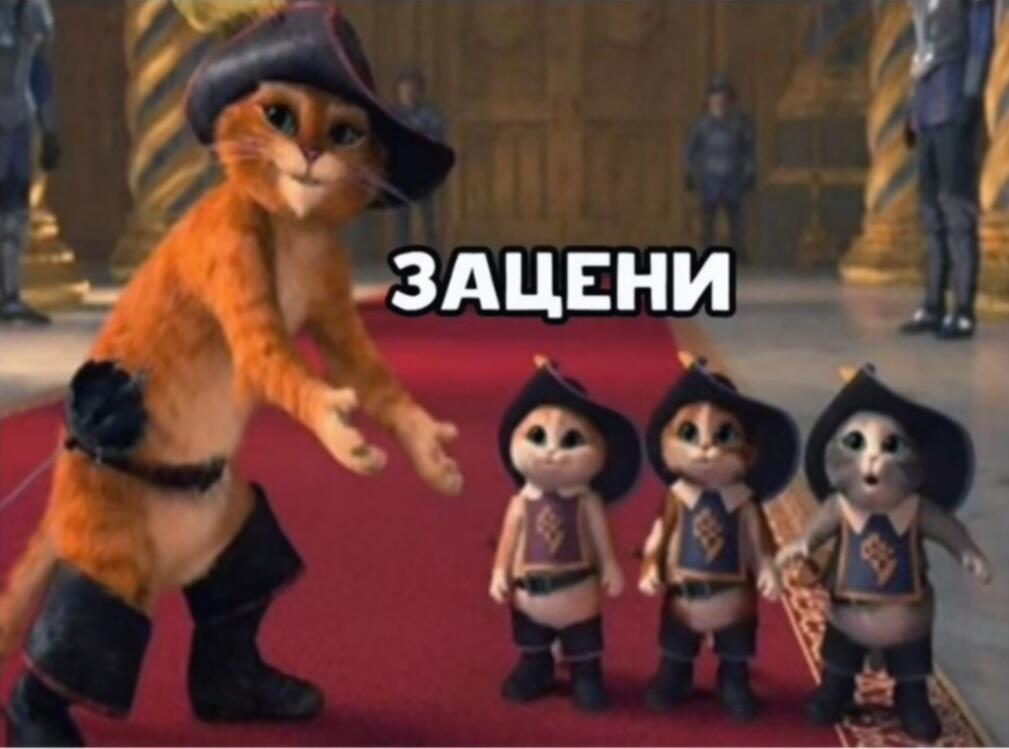 Никто:
Обсалютно никто
Моя кошка после двух недельной пропажи:
