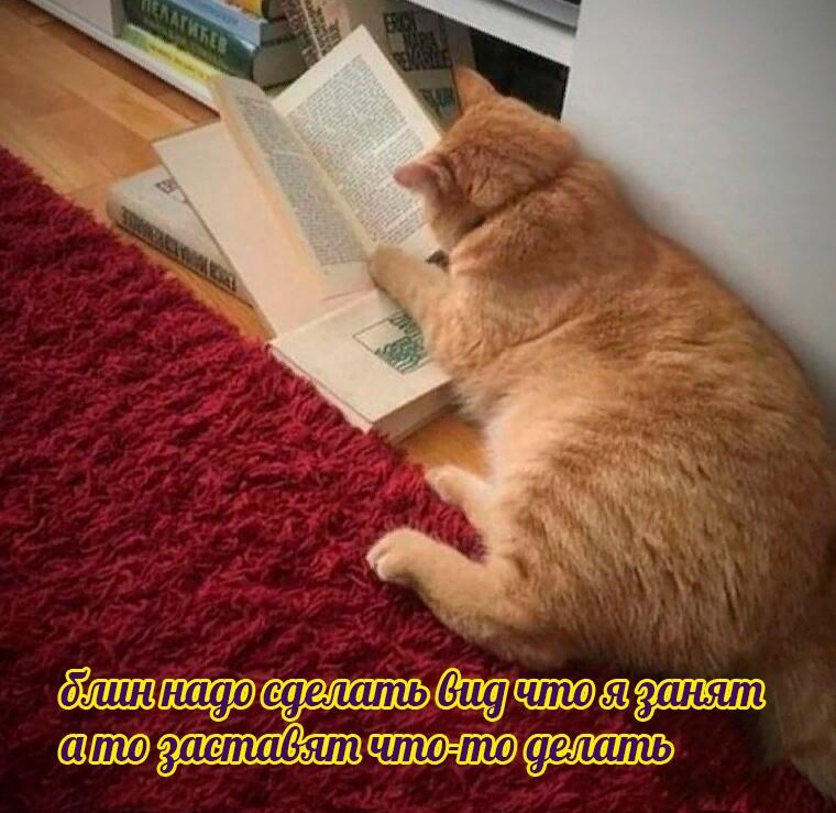 Мем без подписи