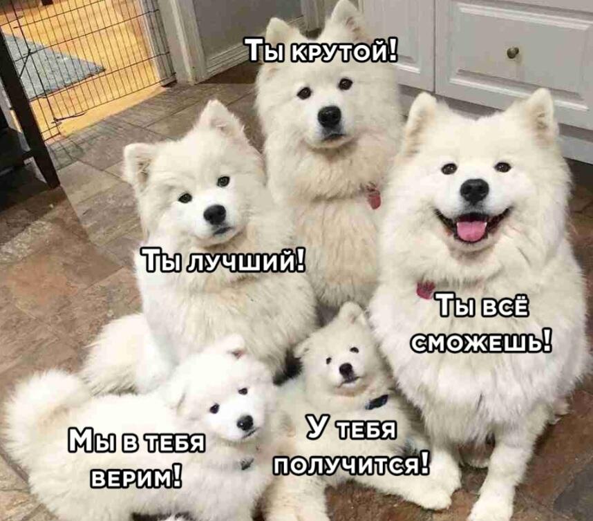 Лучшая группа поддержки :D