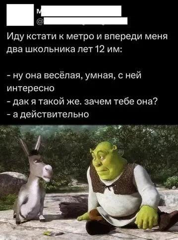 Шрек сидит с озадаченным лицом рядом с Ослом, сверху текст о разговоре со школьниками про их девушку