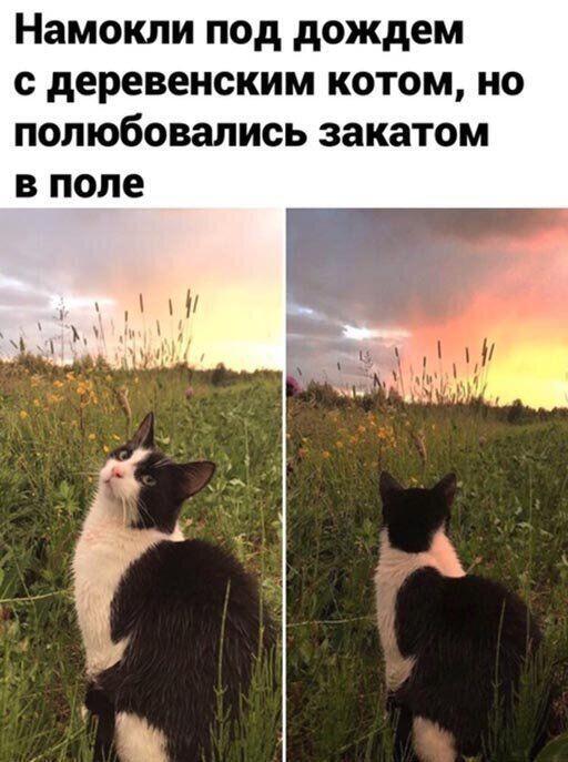 Красота... Ну, НГ справили, можно и лето ждать)))