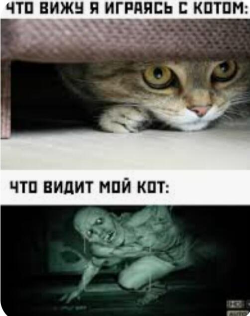 Ахахахахахах, жиза