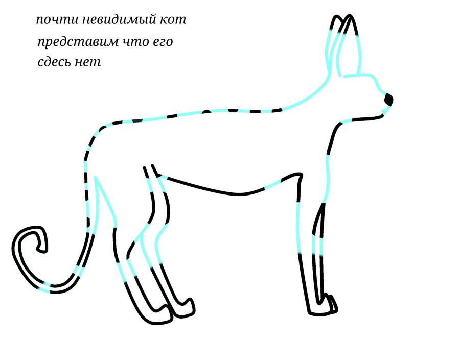 Почти невидимый кот