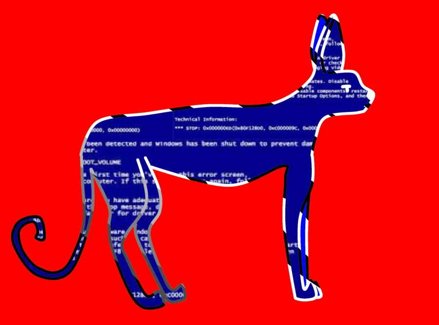 Ошибка кот