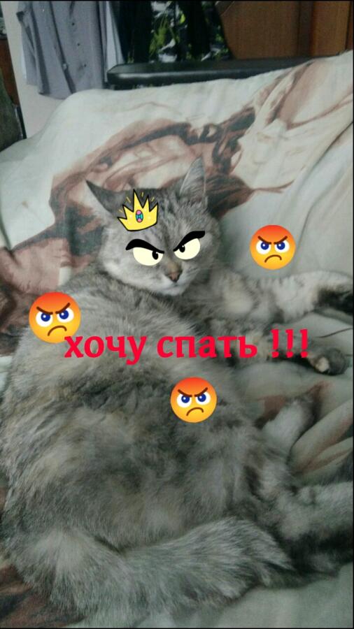 Я, когда меня разбудили на работу .