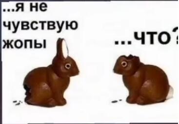 Мем от Ежегодник