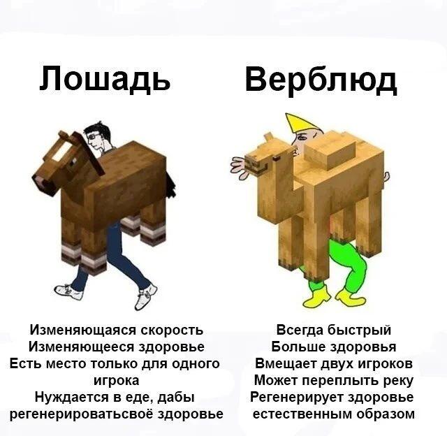 Сравнение характеристик лошади и верблюда в игре Minecraft: скорость, здоровье, вместимость и регенерация.