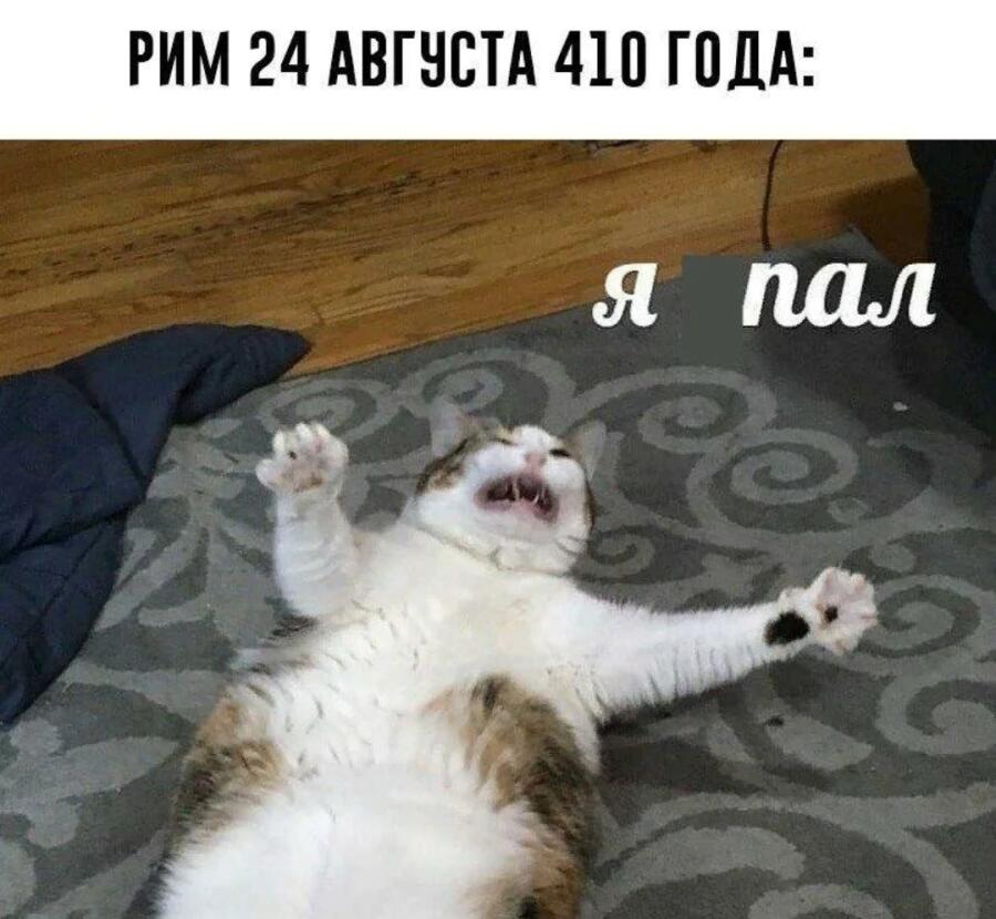 Мем от ✧ 𝓛𝓾𝓷𝓪𝓻𝔂~ 𝖊𝖓𝖋𝖕 ☾𖤓 ˚ ⋆ﾟ🌙