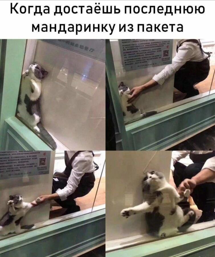 Мем без подписи