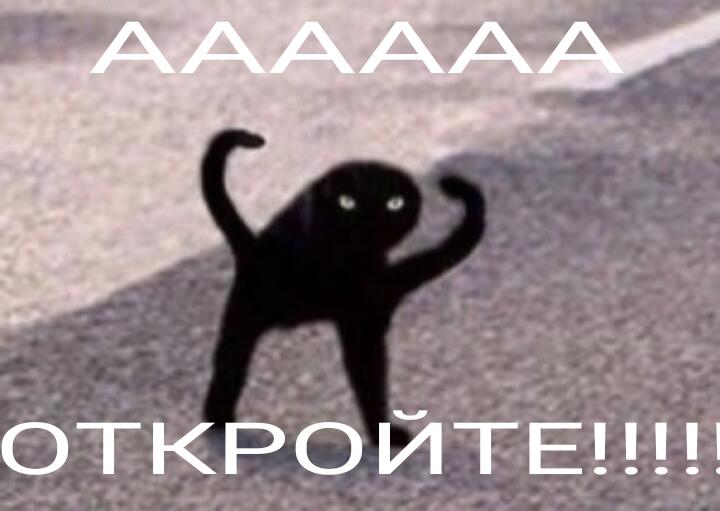 Брат: седит в туалете. Также я: пытаюсь выбить дверь