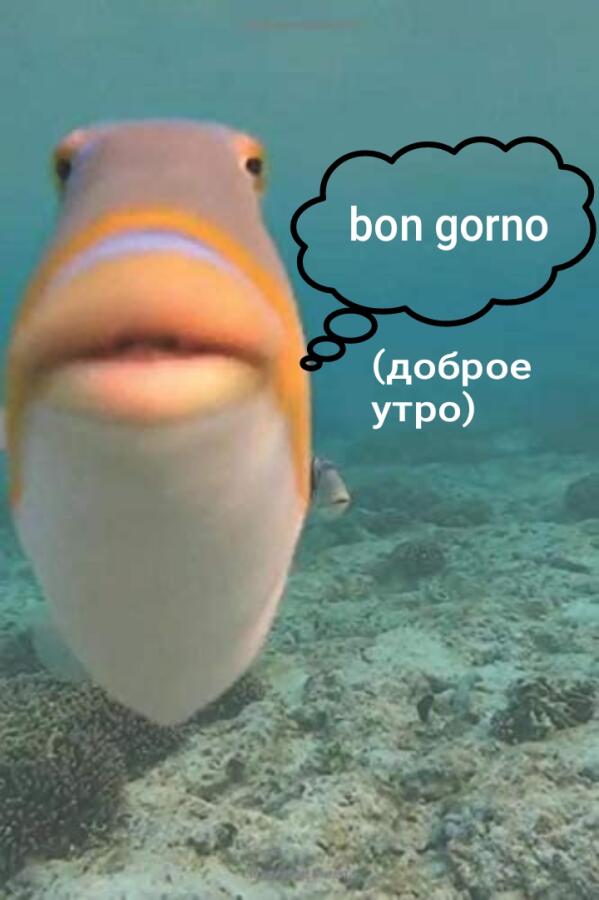 Что я вижу когда просыпаюсь: