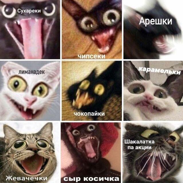 Батя: Дал мне косарь. Также я:
