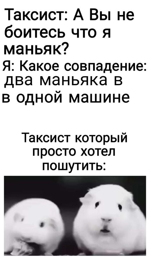 А ты попросил таксиста ехать в лес