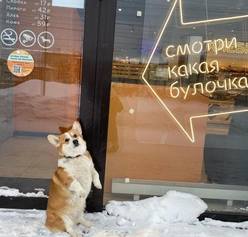 Мем без подписи
