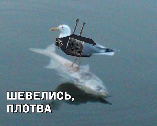 Мем без подписи
