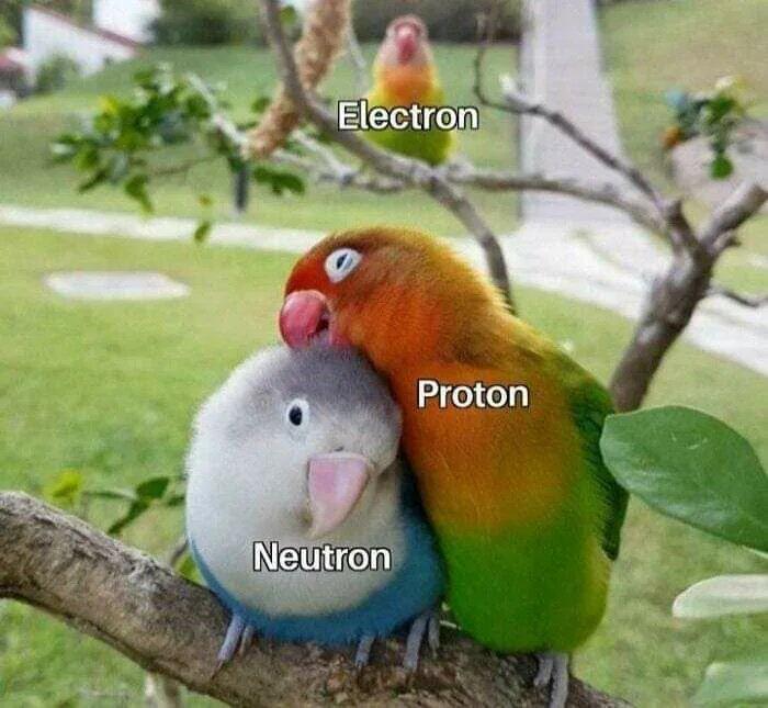 Мем без подписи