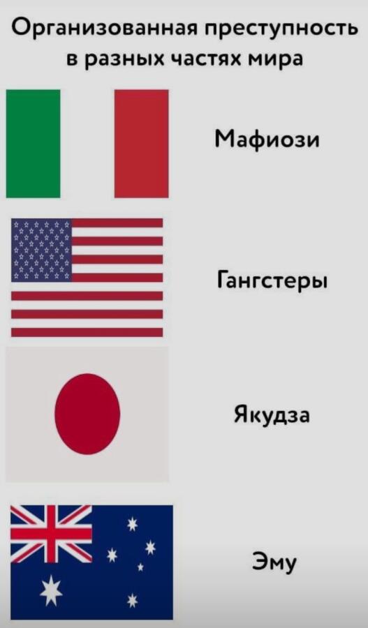 Мем от Xadver3