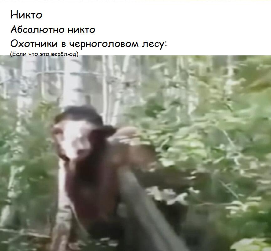 Я искал идей для мемом (да-да так долга)