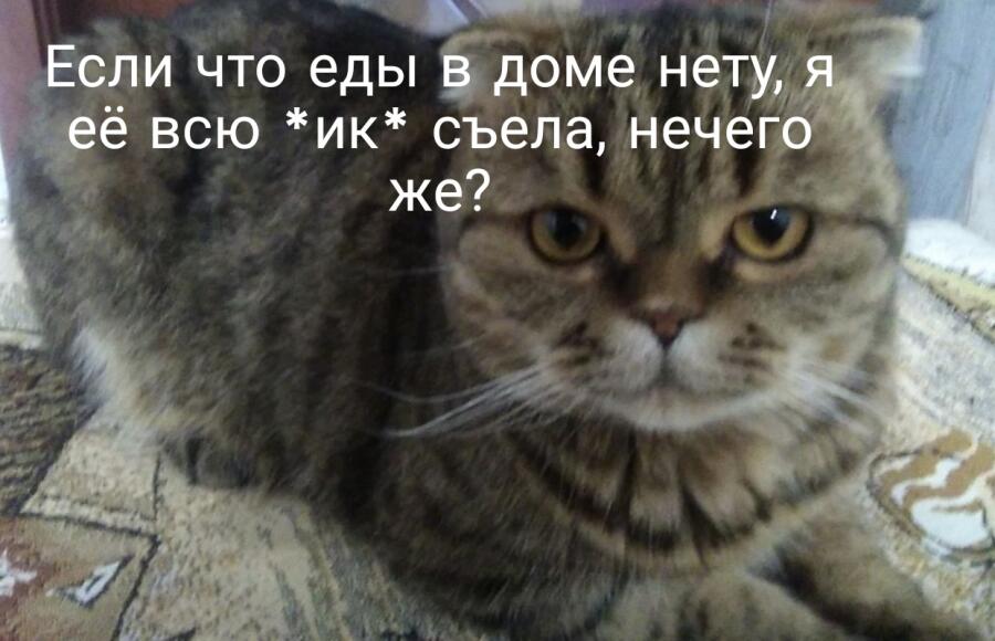 Просто мем что тут ещё сказать