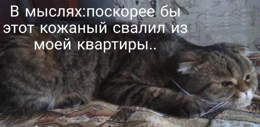 Ага ага так я  и уйду)
