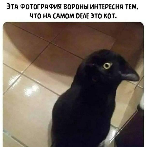 А как это развидить?
