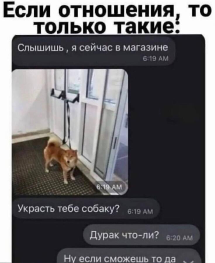 Вроде осу, а вроде и нет