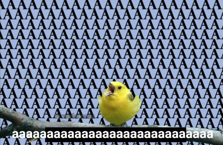 АААААААААААААААААААААААААААААААААА