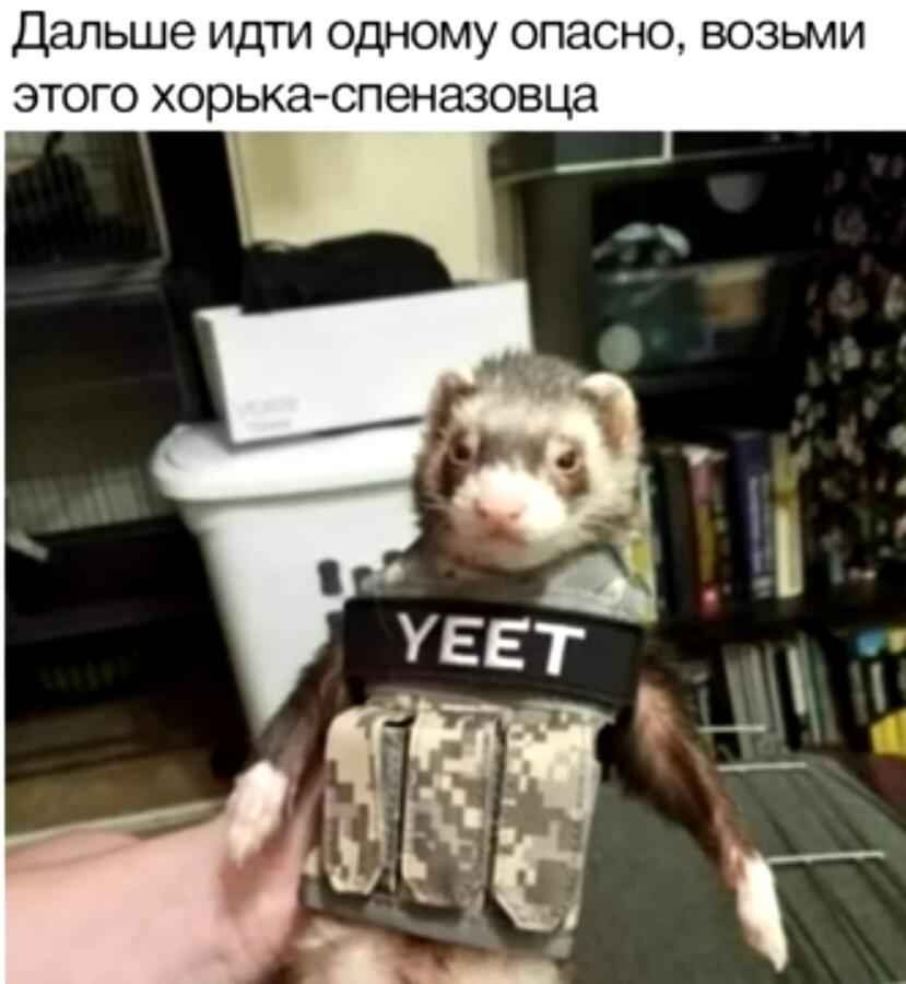 Слыш, возьми