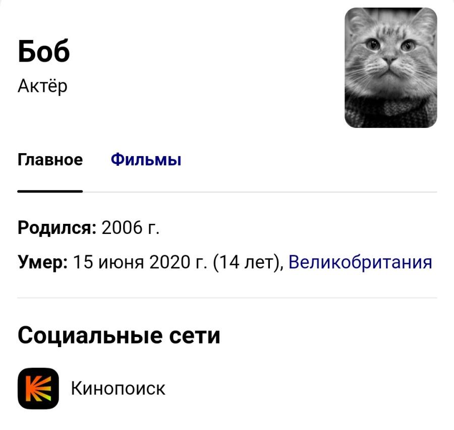 Кто то: Кто твой любимый актёр? 
Я:
