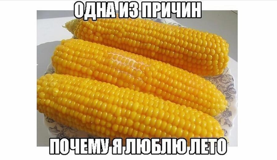 Мем от Kedar
