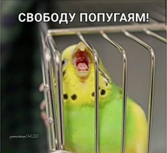 Когда мама отключила вайфай и заставила делать уроки. 
Я через секунду!