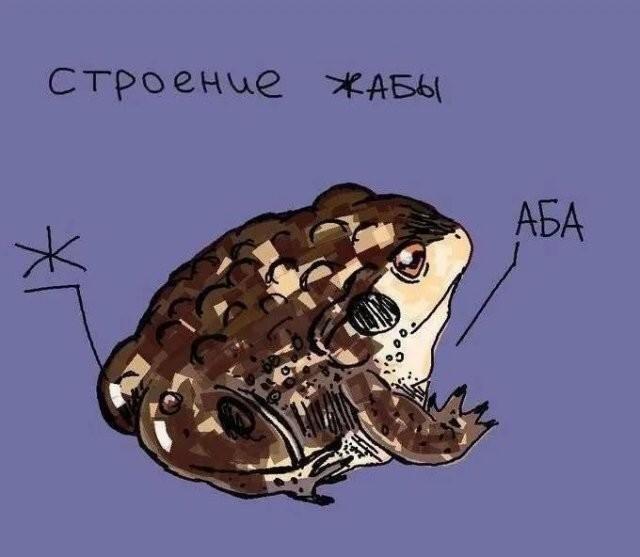 Со средой чюваки .