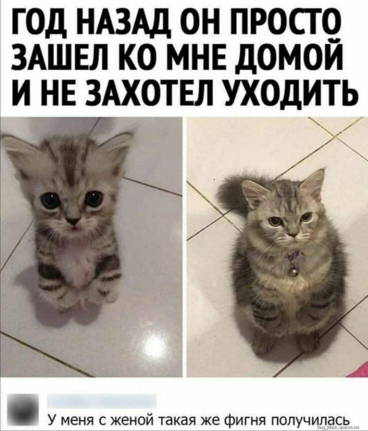 Мем от _Tynik_