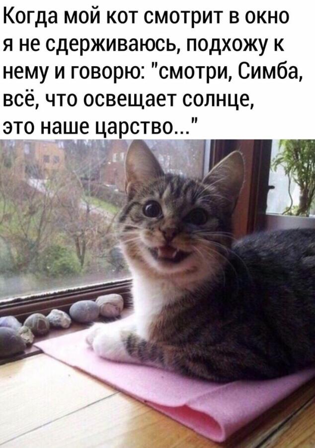 Мем от _Tynik_