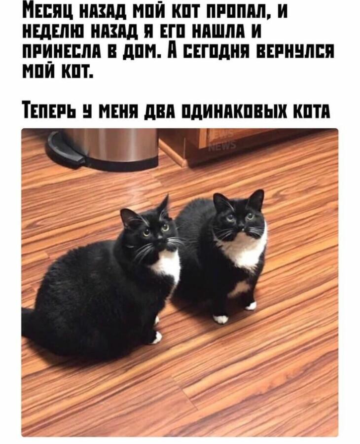 Мем от _Tynik_