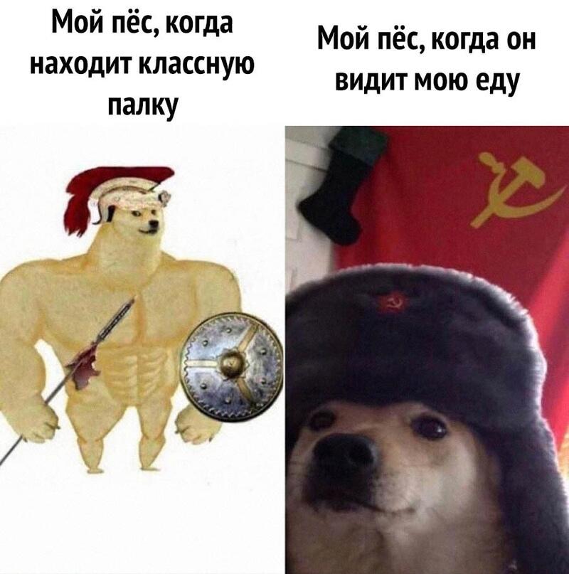 Мем от morozanterDteam