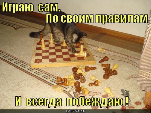 Какия играю в шахматы