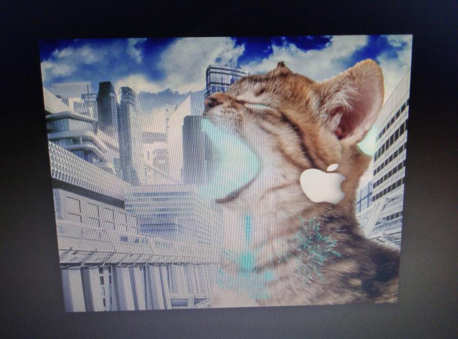 Как котики должны выглядеть в будущем на самом деле. Модель iCat 3000. (сделал сам)