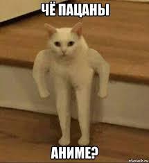 ЭТО ПРОСТО ПОДБОРКА... ой сорян за шрифт. Короче, моя первая подборка с мемами
