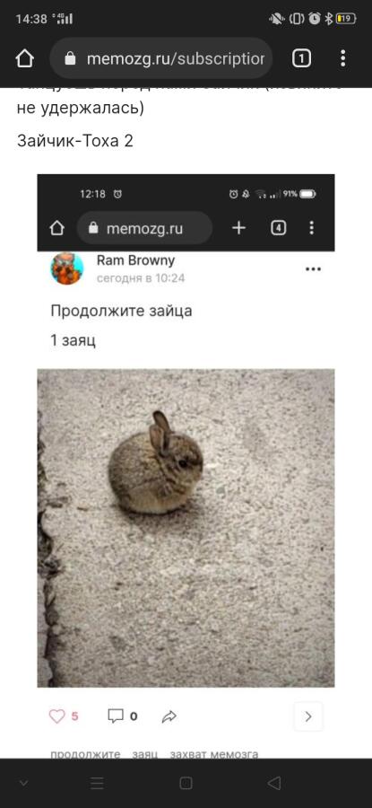 Заяц 3+