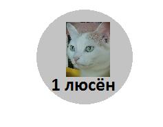 новая монета