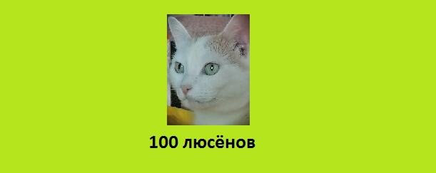 новая купюра