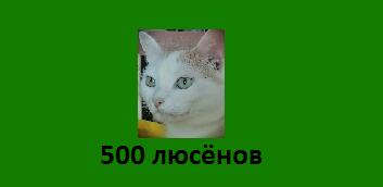 новая купюра