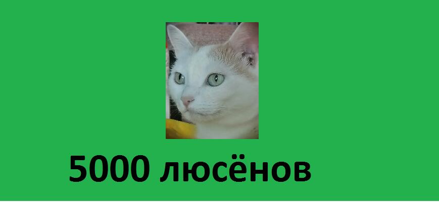 новая купюра