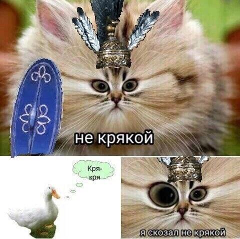 Мем без подписи