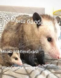Мем от Алексей Роут
