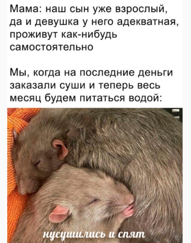 Мем от Обычный vilere