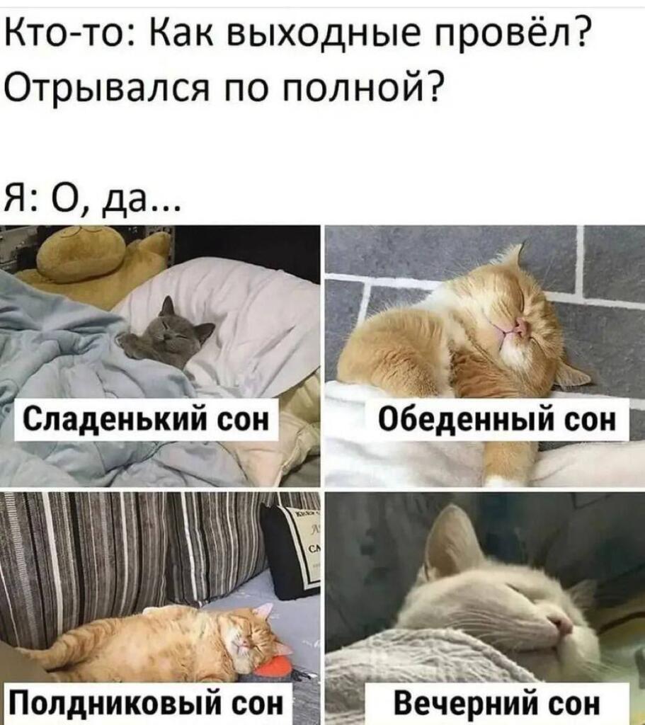 Мем без подписи