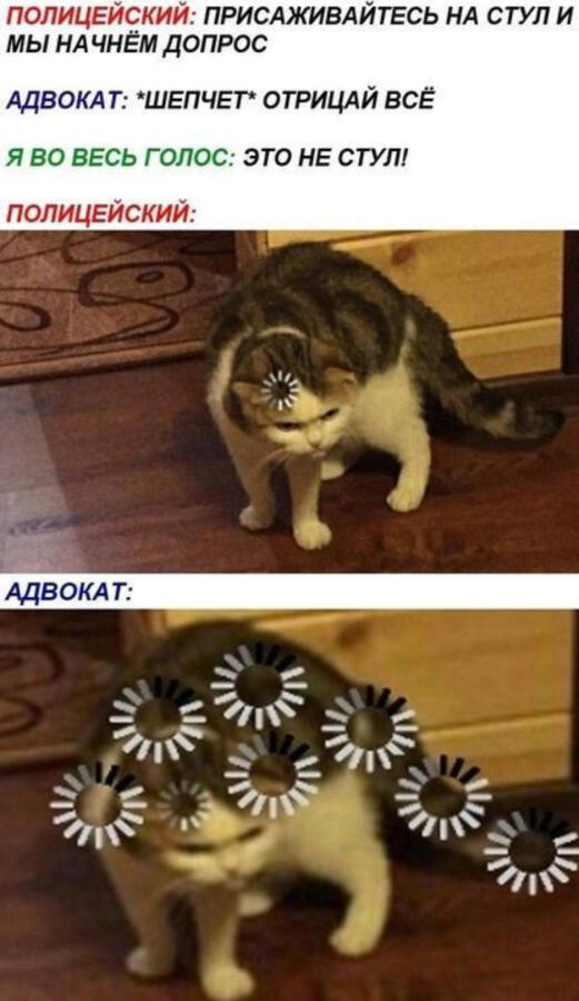Мем от Kate4ka✨